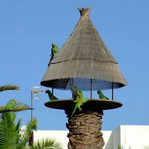 https://brand-new-apartment-in-primavera.in-canary-islands.com